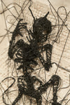 Devil II