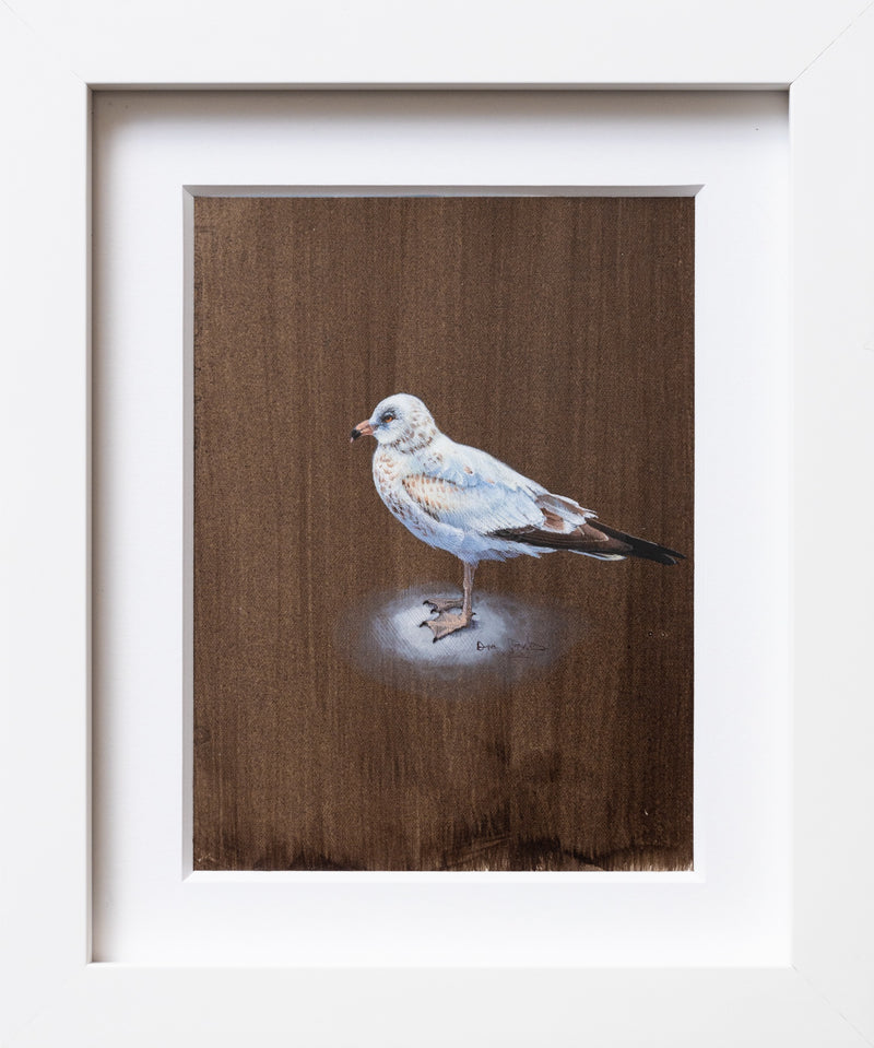 Seagull