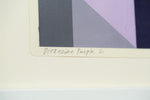 Dioxazine Purple