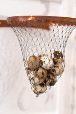 Diptych: Egg Bag & Insect Net