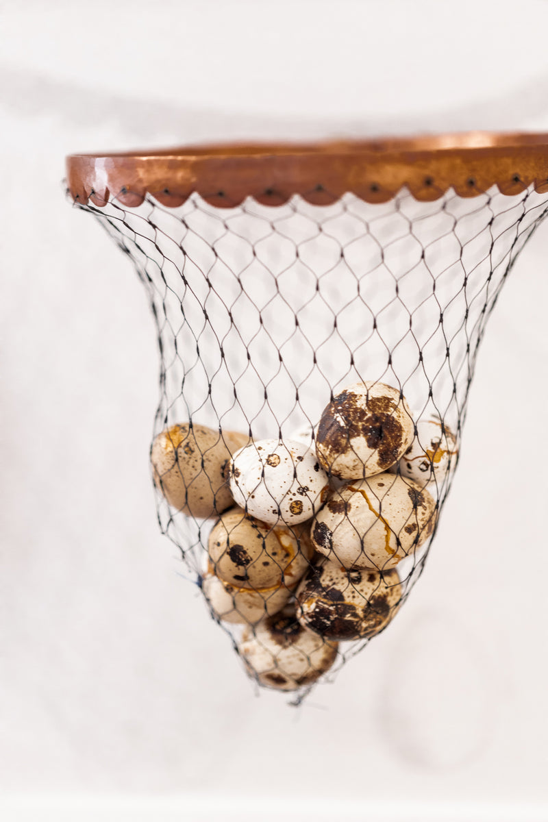 Diptych: Egg Bag & Insect Net