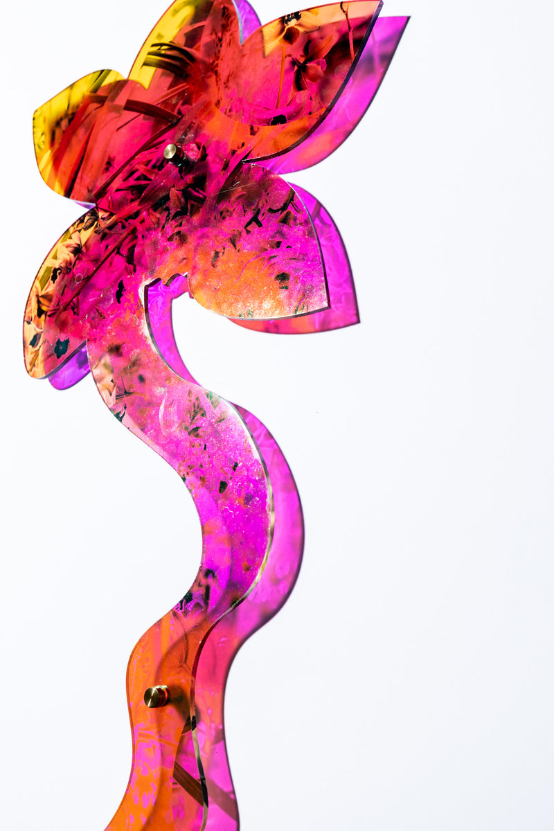 Double Sided Orchid