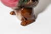 Duck Dog