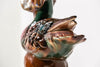 Duck Dog