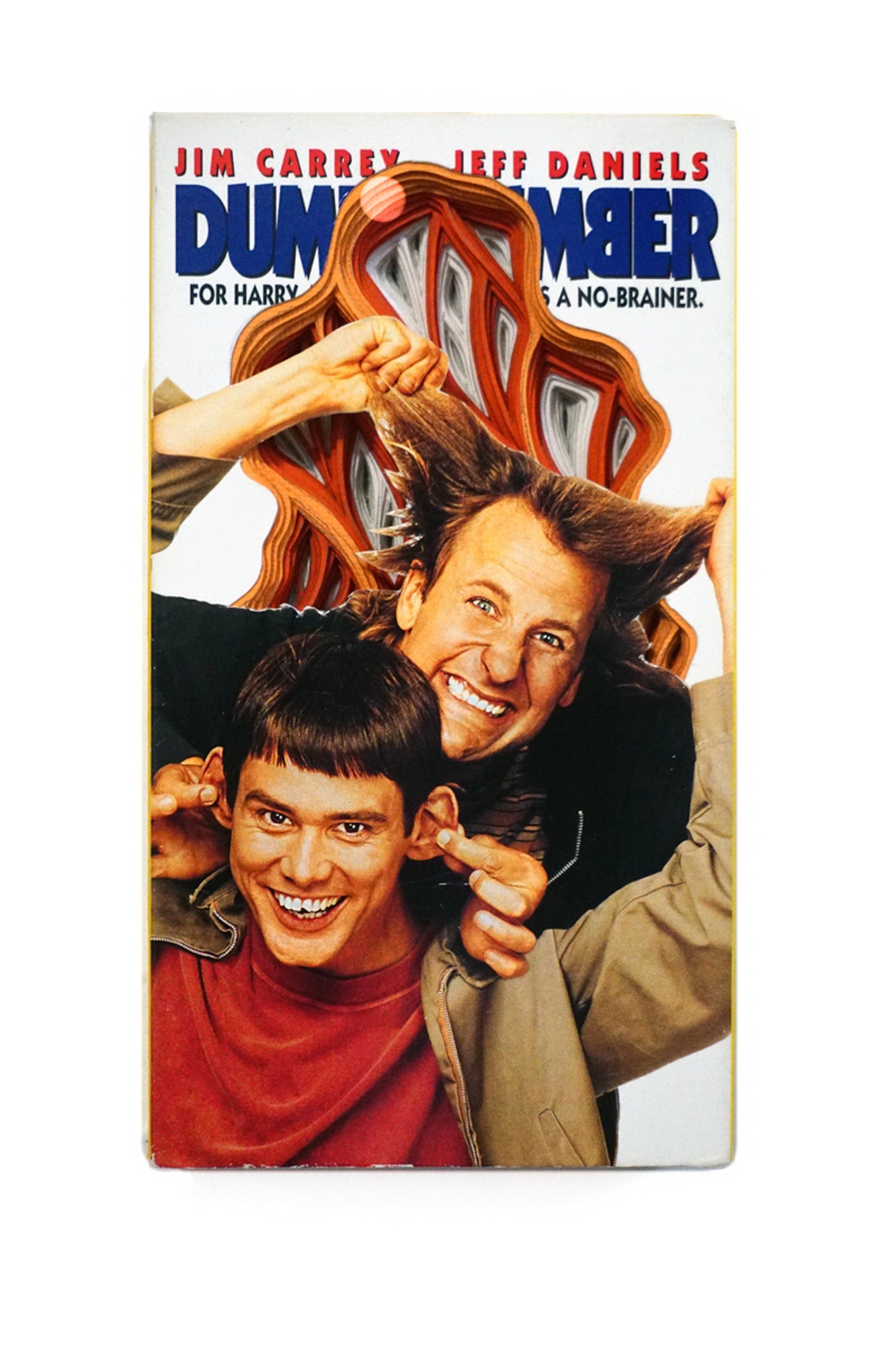Dumrer Dumb And Dumber 2 Review: Dumb And Dumber Tokyvideo – KJWBU