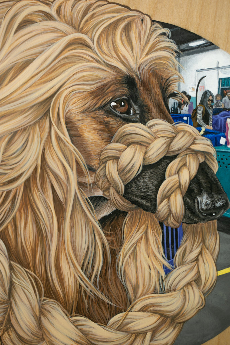 Afghan Hound II (Somewhere in PA)