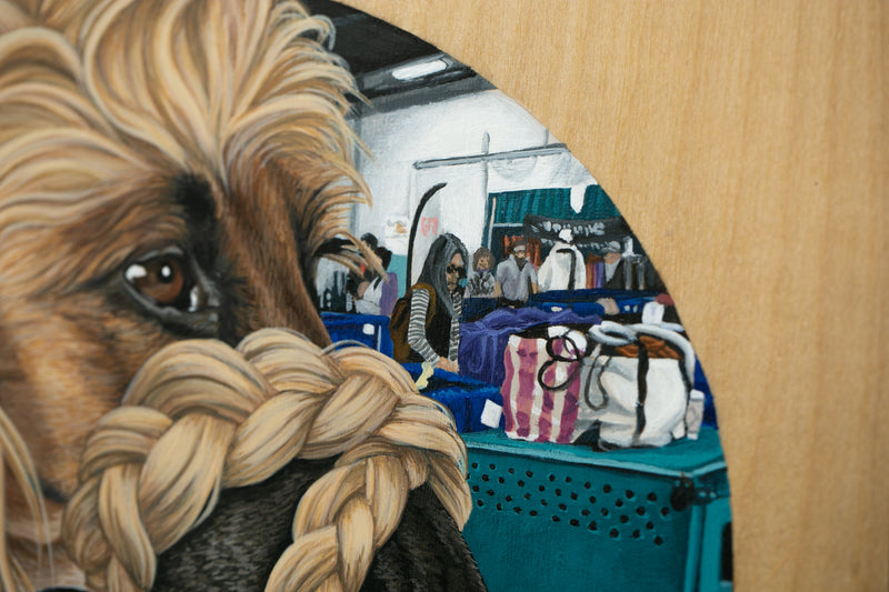 Afghan Hound II (Somewhere in PA)