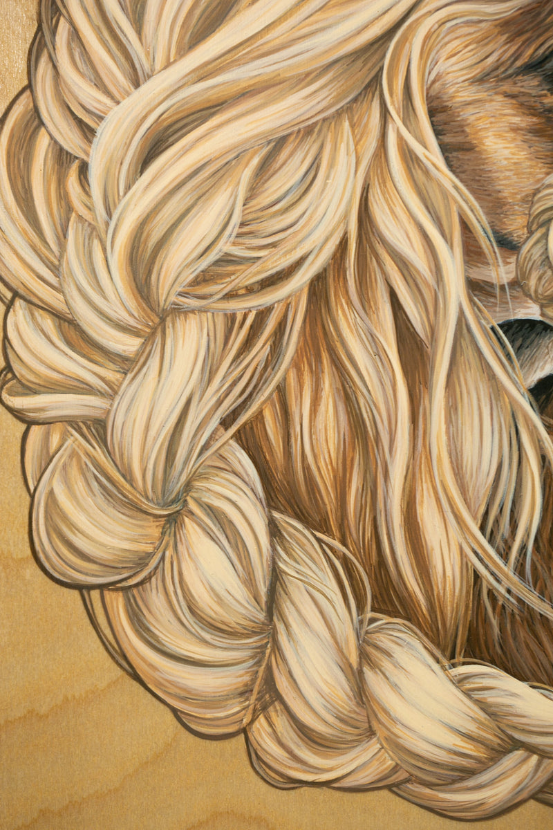 Afghan Hound II (Somewhere in PA)