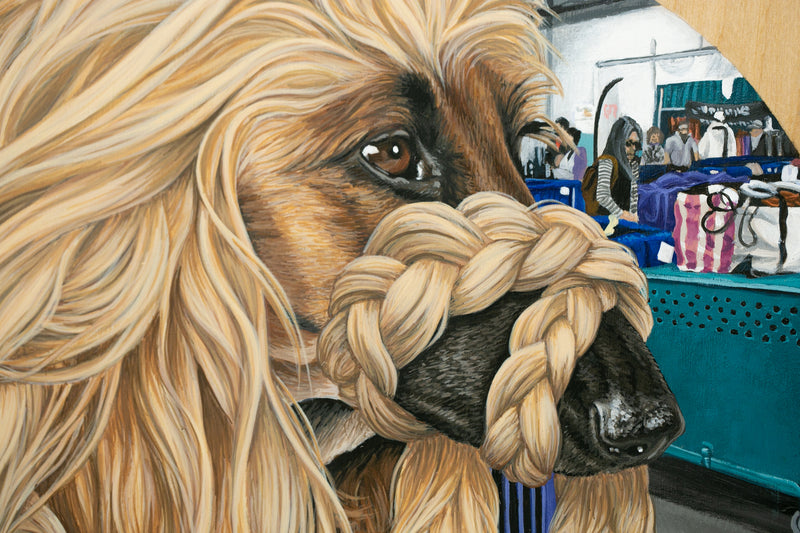 Afghan Hound II (Somewhere in PA)