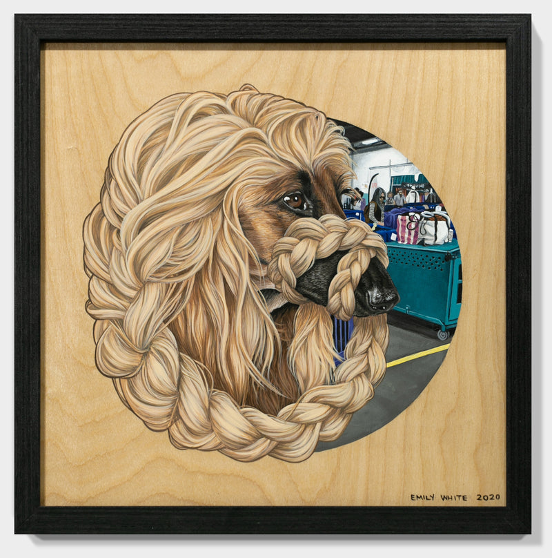 Afghan Hound II (Somewhere in PA)