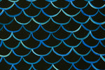 FISHSCALE (Sold)
