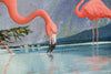 Flamingo Lake