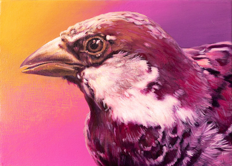 Sparrow #1