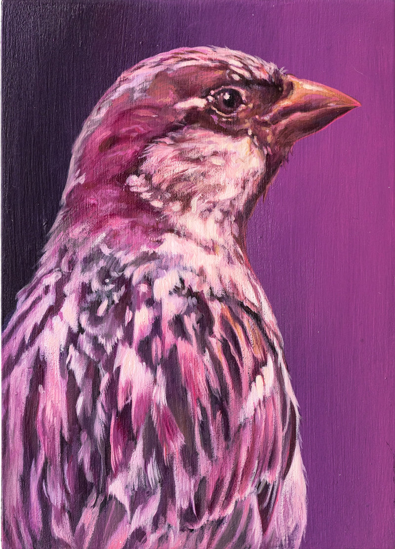 Sparrow #2