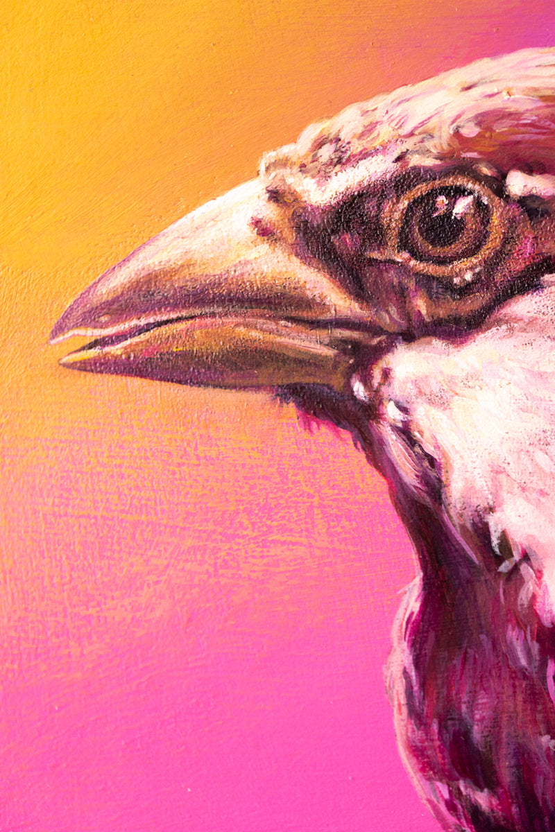 Sparrow #1