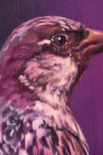 Sparrow #2