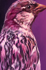 Sparrow #2