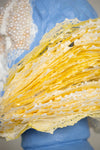 Gills: Grow A Pair