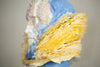 Gills: Grow A Pair