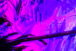 Greenhouse