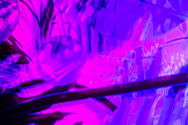 Greenhouse