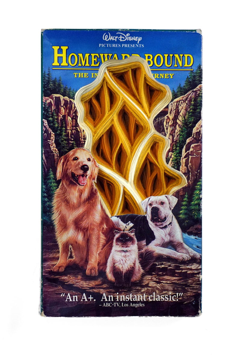 Homeward Bound: The Incredible Journey