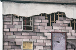 House Portrait Series XIV