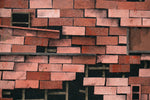 House Portrait Series XX