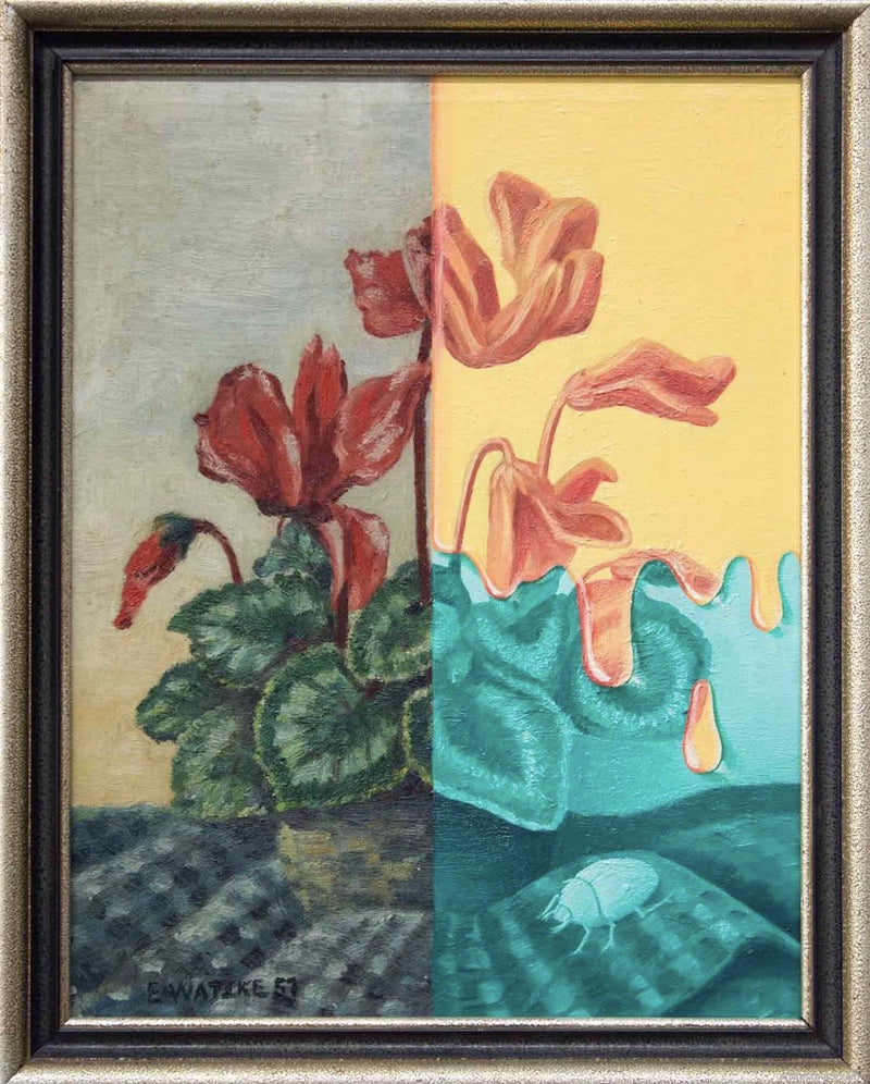 Cyclamen