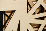 Inclusion 4