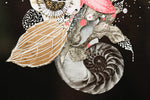 Midnight Nautilus