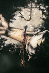 The Mark of Eibon