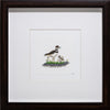 Killdeer with chick