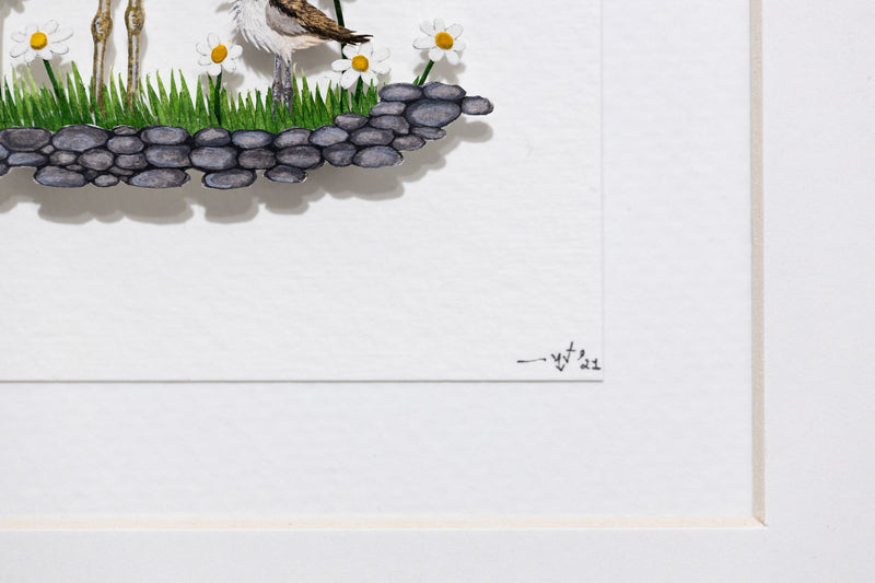 Killdeer with chick