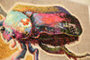 Flower Beetle