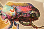 Flower Beetle