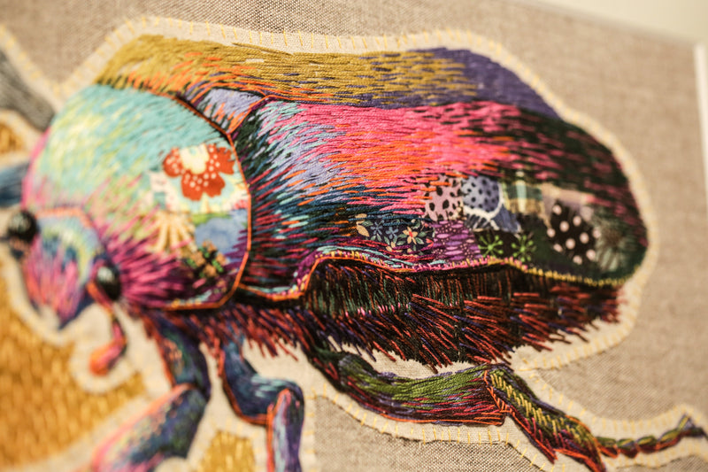 Flower Beetle