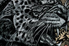 Kinetic Snow Leopard II