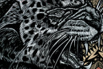 Kinetic Snow Leopard II