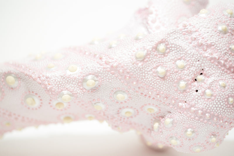 Lace Femur