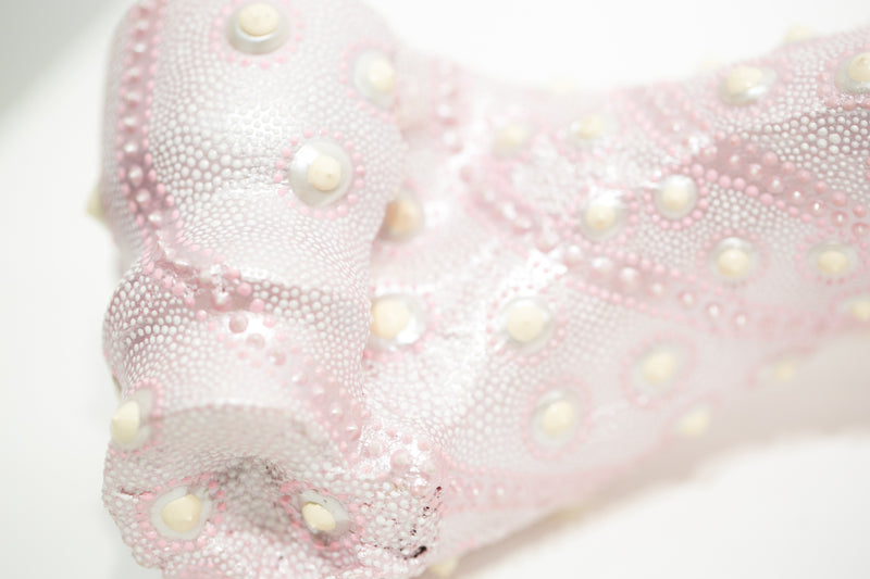 Lace Femur