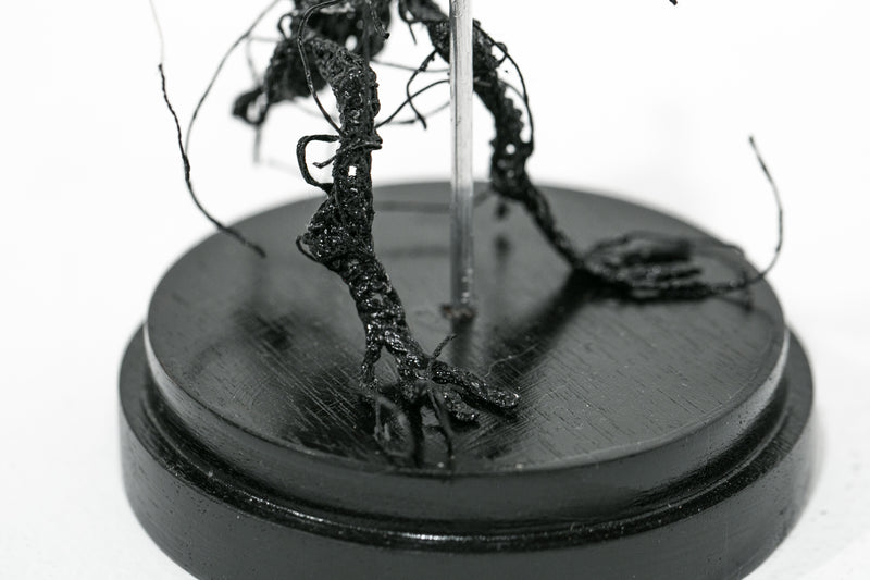 Limbo II