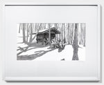 Low Gap Shelter, Georgia, [ 34.77624, -83.8245 ]