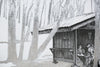 Low Gap Shelter, Georgia, [ 34.77624, -83.8245 ]