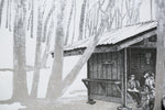 Low Gap Shelter, Georgia, [ 34.77624, -83.8245 ]