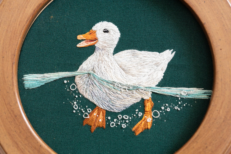 American Pekin