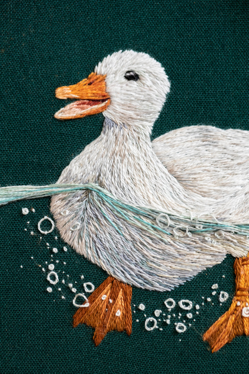 American Pekin