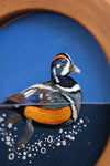 Harlequin Drake