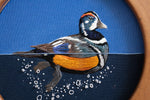 Harlequin Drake