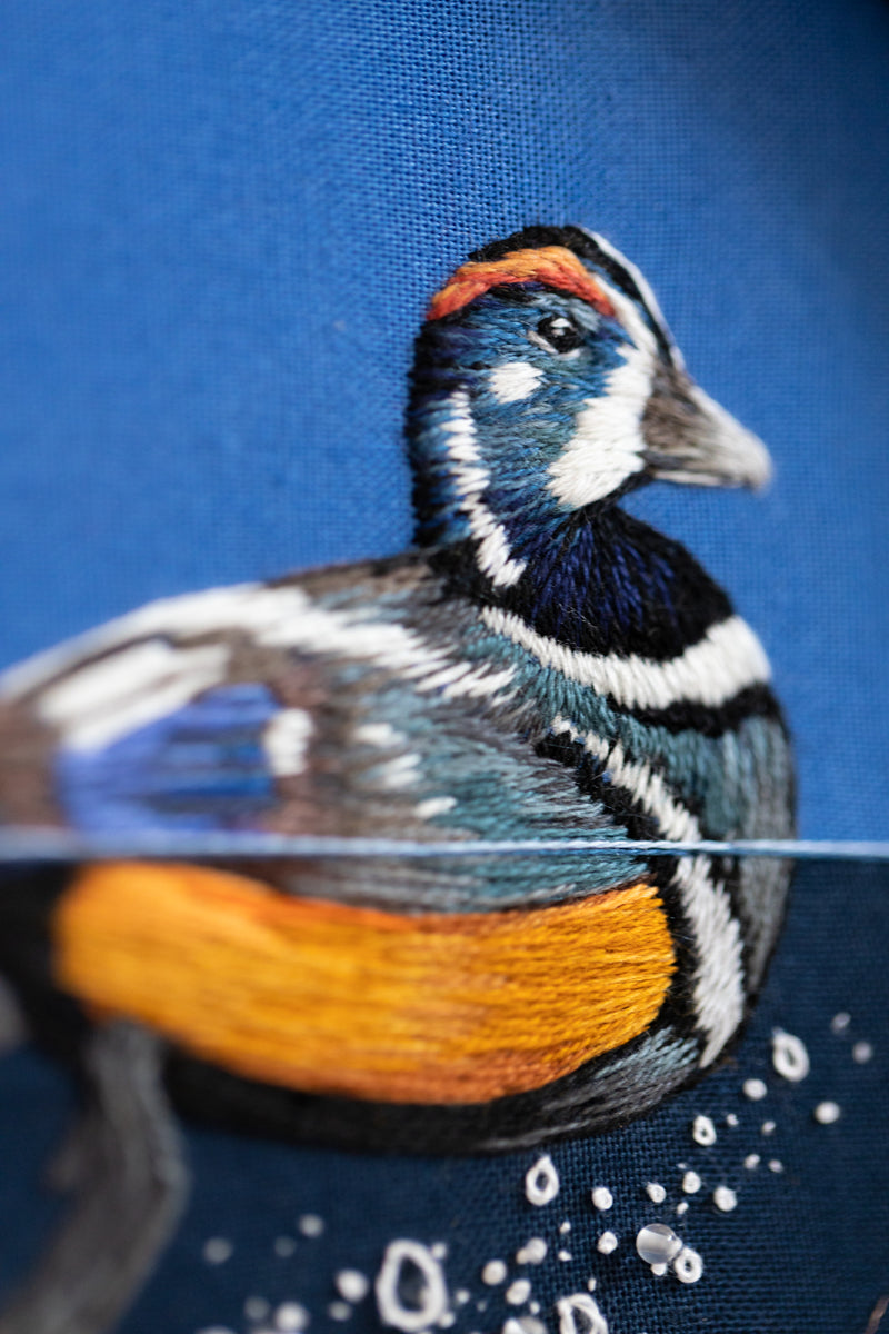 Harlequin Drake